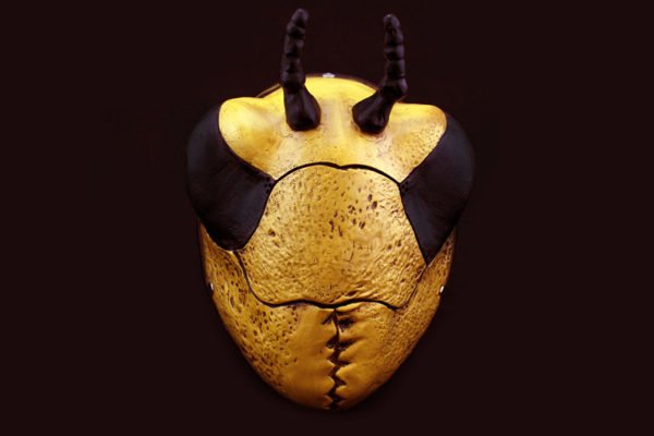 Payday2 insect Resin Mask