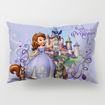 Sofia the First Premium Hollow Cotton Long Pillow