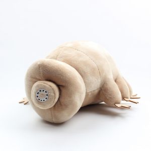 Water Bear Tardigrade Children's gifts with plush toys